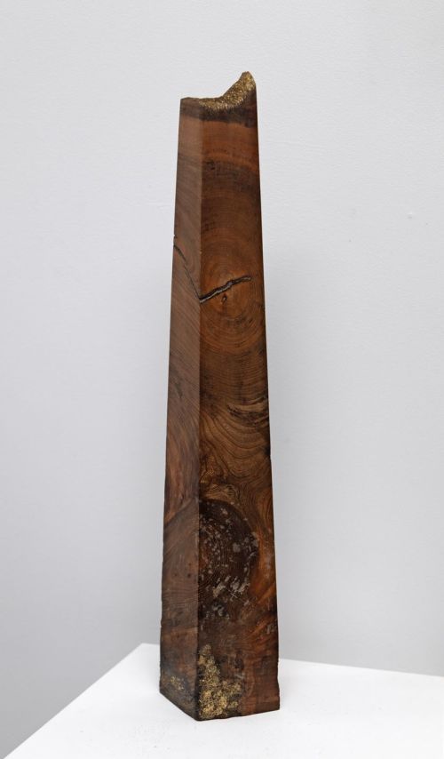 wych elm obelisk by john hodgson