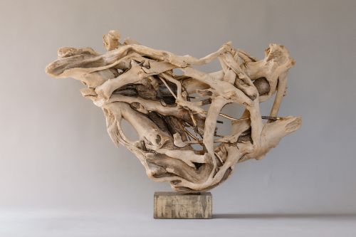 glorious entanglement of love by lucy gray