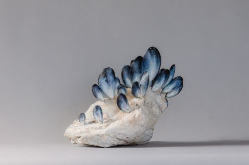 we all cling to the same rock by lucy gray