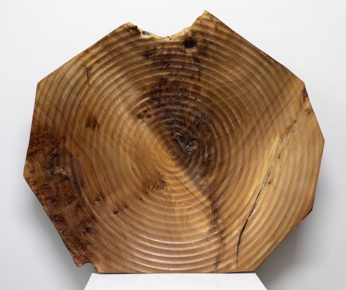 Ribbed Platter, Wych Elm from Fiunary, Morvern | John Hodgson