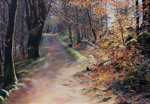 autumn in ardgour by niall logan