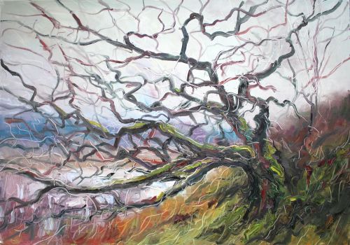 atlantic oak loch arienas by jonathan shearer