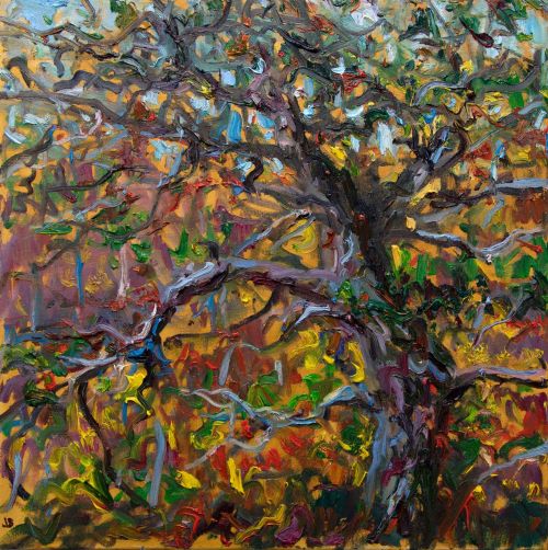 autumn atlantic oak by jonathan shearer