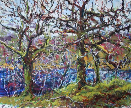 atlantic oaks on the river aline by jonathan shearer