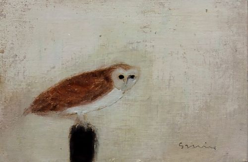 Barn Owl | Andrew Squire