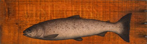 september, female by donald provan