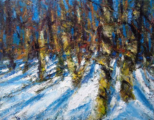 february shadows in the snow by jonathan shearer
