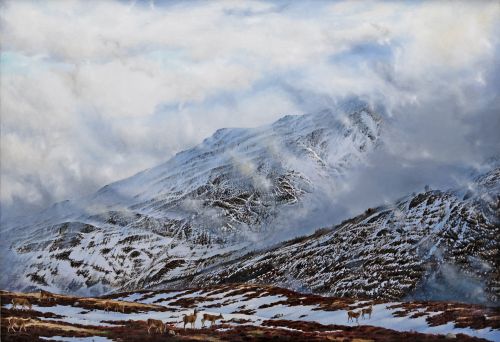 october mist - deer by colin woolf