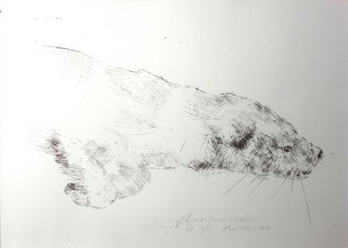P-Ottering | Joyce Gunn Cairns