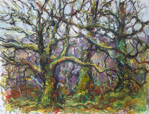oaks above loch arienas by jonathan shearer