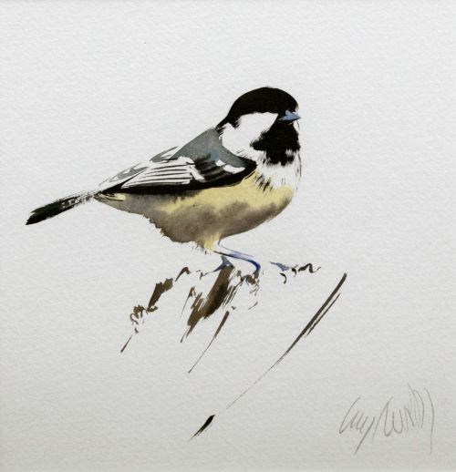 coal tit by lucy newton