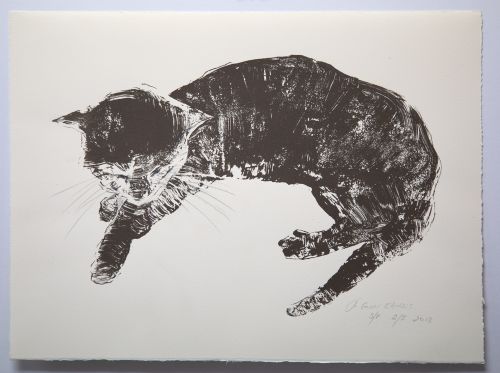 black cat by joyce gunn cairns