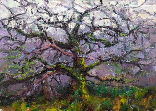 achility oak by jonathan shearer