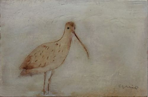 Curlew | Andrew Squire