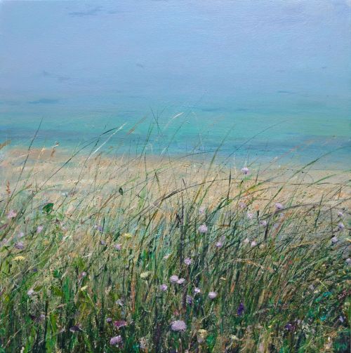 summer meadow, bettyhill Jim wright
