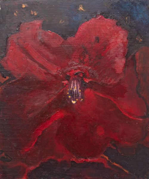 midnight flower by anna raven