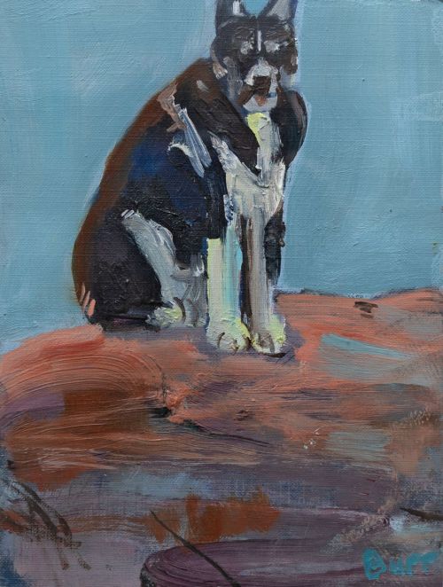 standing husky by lesley burr