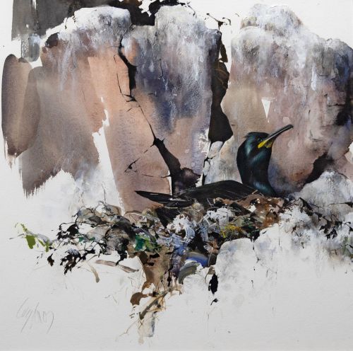 nesting shag by lucy newton