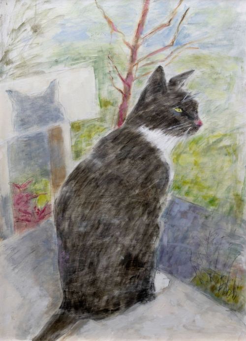 his shadow by joyce gunn cairns