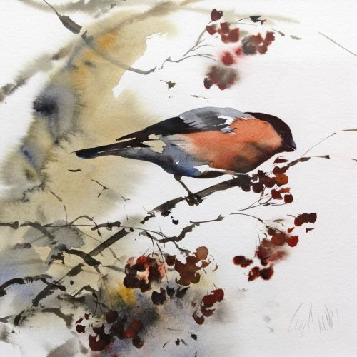 bullfinch by lucy newton