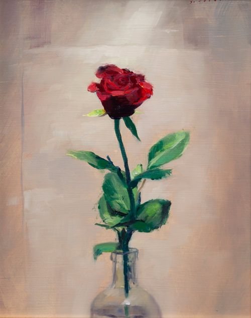 Red Rose | Andrew Sinclair