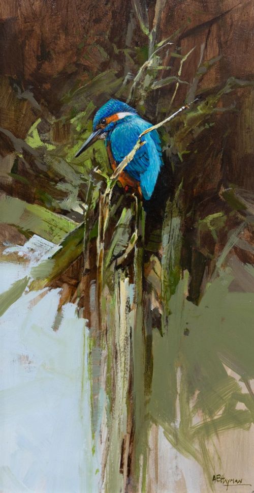 kingfisher by alan b hayman