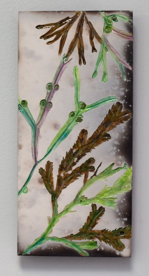 Green Seaweed iii | Helen Michie