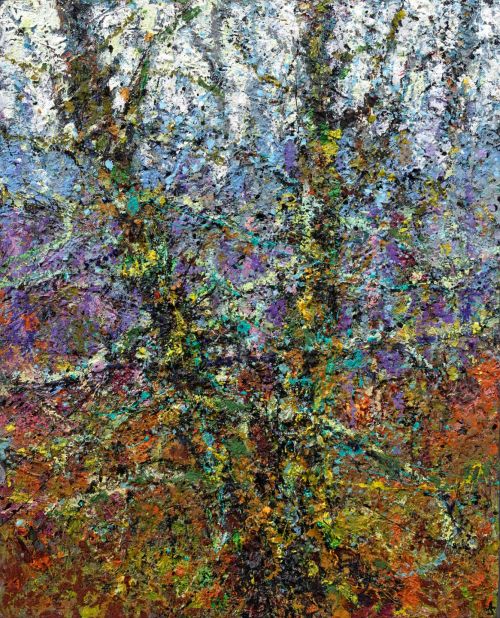moss and lichen silver birch by jonathan shearer