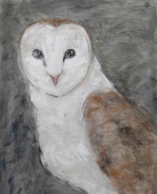 owl by Joyce gunn cairns