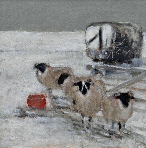 sheep in snow by ruth o'dell
