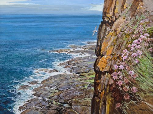 lunga, treshnish by alan b hayman