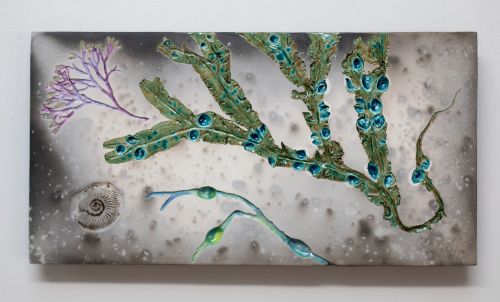 Seaweed with Fossil i | Helen Michie