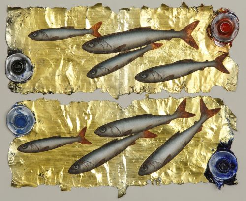 shoal on gold by donald provan