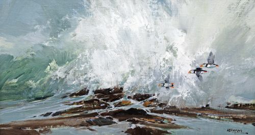 puffins iii by alan b hayman