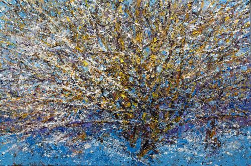 sun and snowy sycamore by jonathan shearer