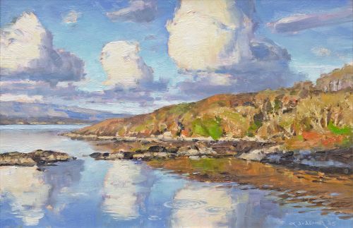glenborrodale shoreline by david deamer