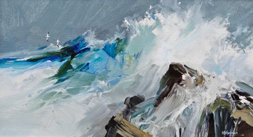 gannets by alan b hayman