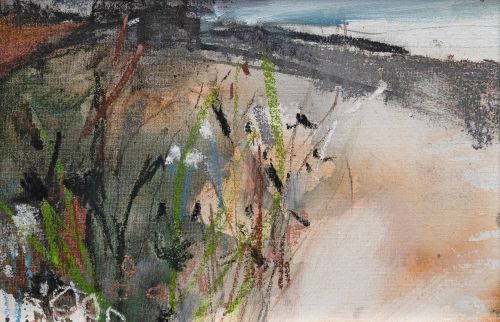the sea meadow by morag young