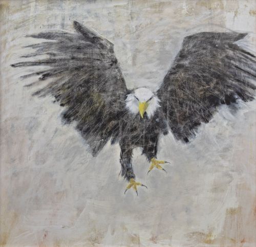 bald eagle by Joyce gunn cairns