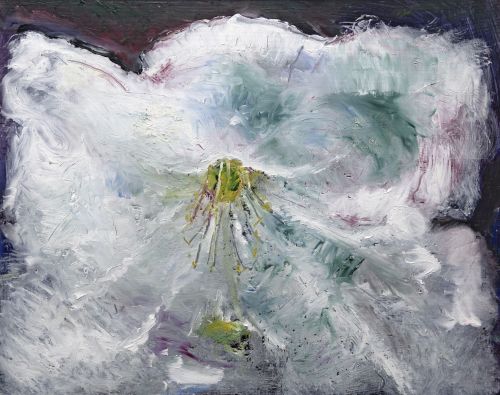 venus in her wedding dress by anna raven