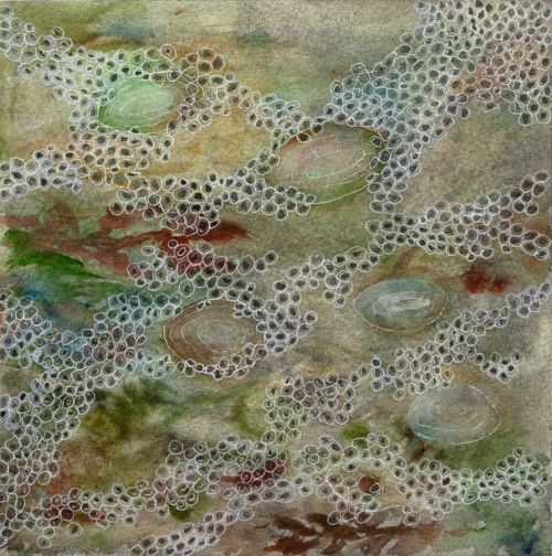 littoral community II by jane rushton