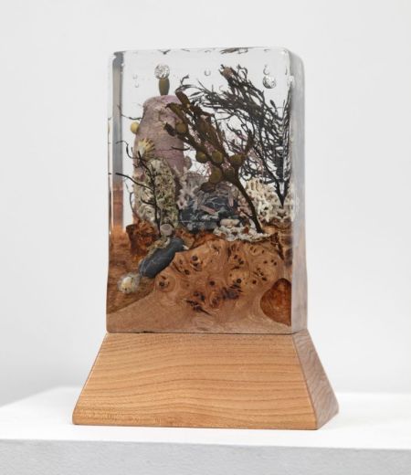 fraoch by greig gilchrist