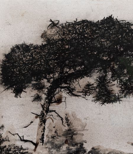 sentinel pine, bridlebank by kevin dagg