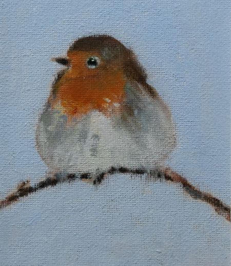 robin by ruth o'dell