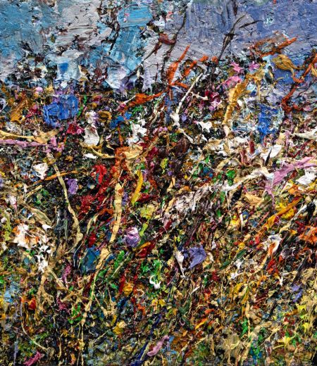 wild flowers fallow field by jonathan shearer