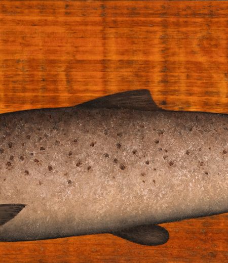 september, female by donald provan