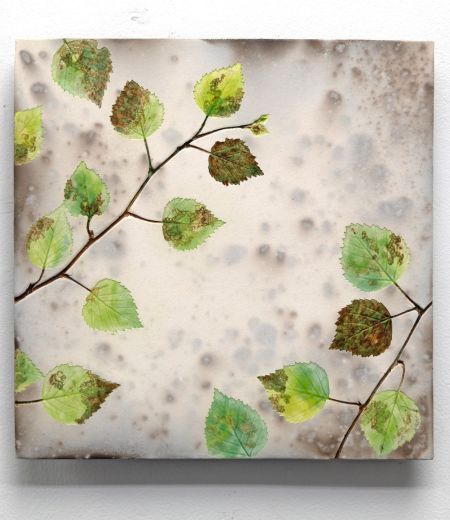 spring birch greens by helen michie