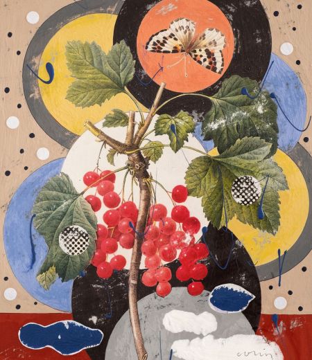 redcurrant by colin brown