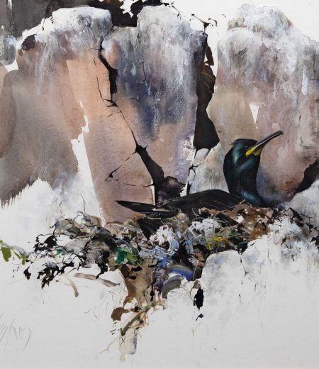 nesting shag by lucy newton