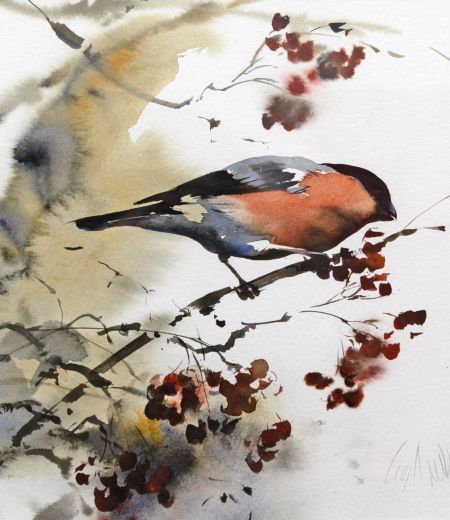 bullfinch by lucy newton